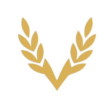 Via Running logo